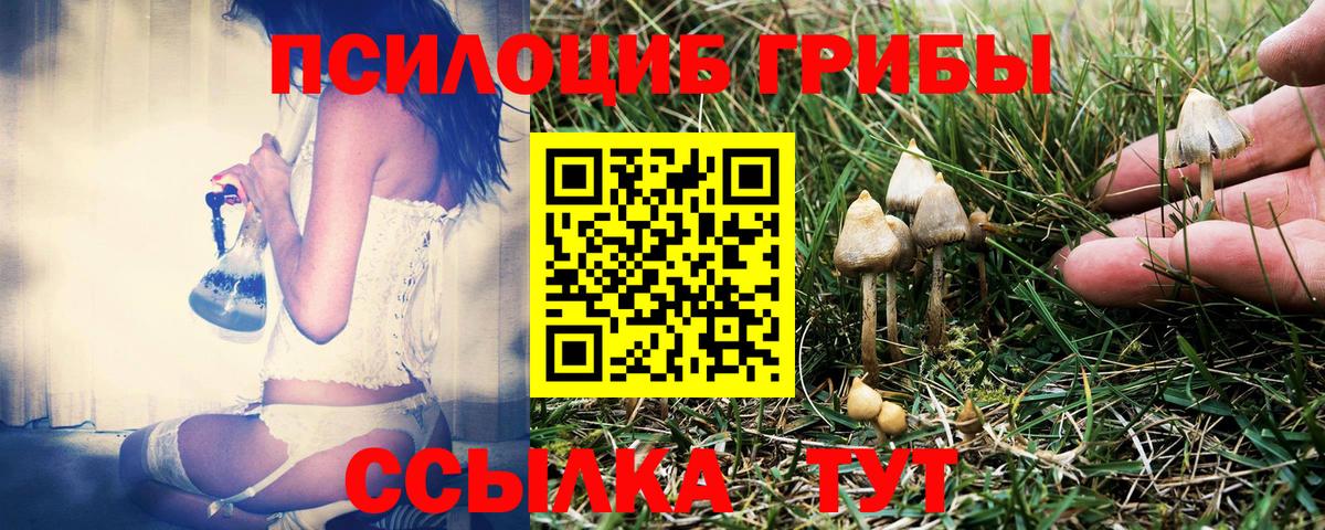 Галлюциногенные грибы Cubensis  Вход с VPN  Шали 